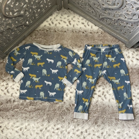 Burt’s Bees Kids matching set boys size 2T pastel wolf western cowboy loungewear - Picture 1 of 10